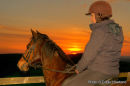 Horse and Rider Portrait